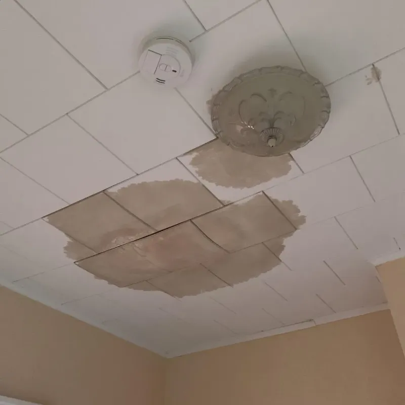 Ceiling Water Damage Repair in Centereach, NY